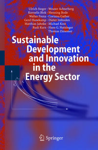 Vorderes Coverbild Sustainable Development and Innovation in the Energy Sector