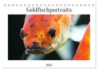 Vorderes Coverbild Goldfischportraits (Tischkalender 2025 DIN A5 quer), CALVENDO Monatskalender