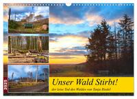 Vorderes Coverbild Unser Wald Stirbt (Wandkalender 2025 DIN A3 quer), CALVENDO Monatskalender