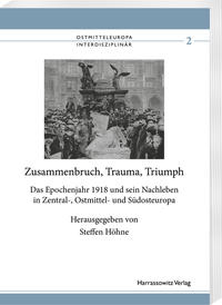 Vorderes Coverbild Zusammenbruch, Trauma, Triumph