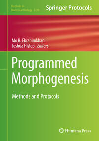 Vorderes Coverbild Programmed Morphogenesis