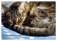 Vorderes Coverbild Schmusefreunde (Wandkalender 2025 DIN A3 quer), CALVENDO Monatskalender