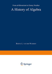 Vorderes Coverbild A History of Algebra