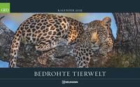 Vorderes Coverbild GEO - Bedrohte Tierwelt 2025 Wandkalender, 58x36cm, Posterkalender mit Abbildungen gefährderter Geschöpfe, einzigartige Aufnahmen aus der Tierwelt, deutsches Kalendarium