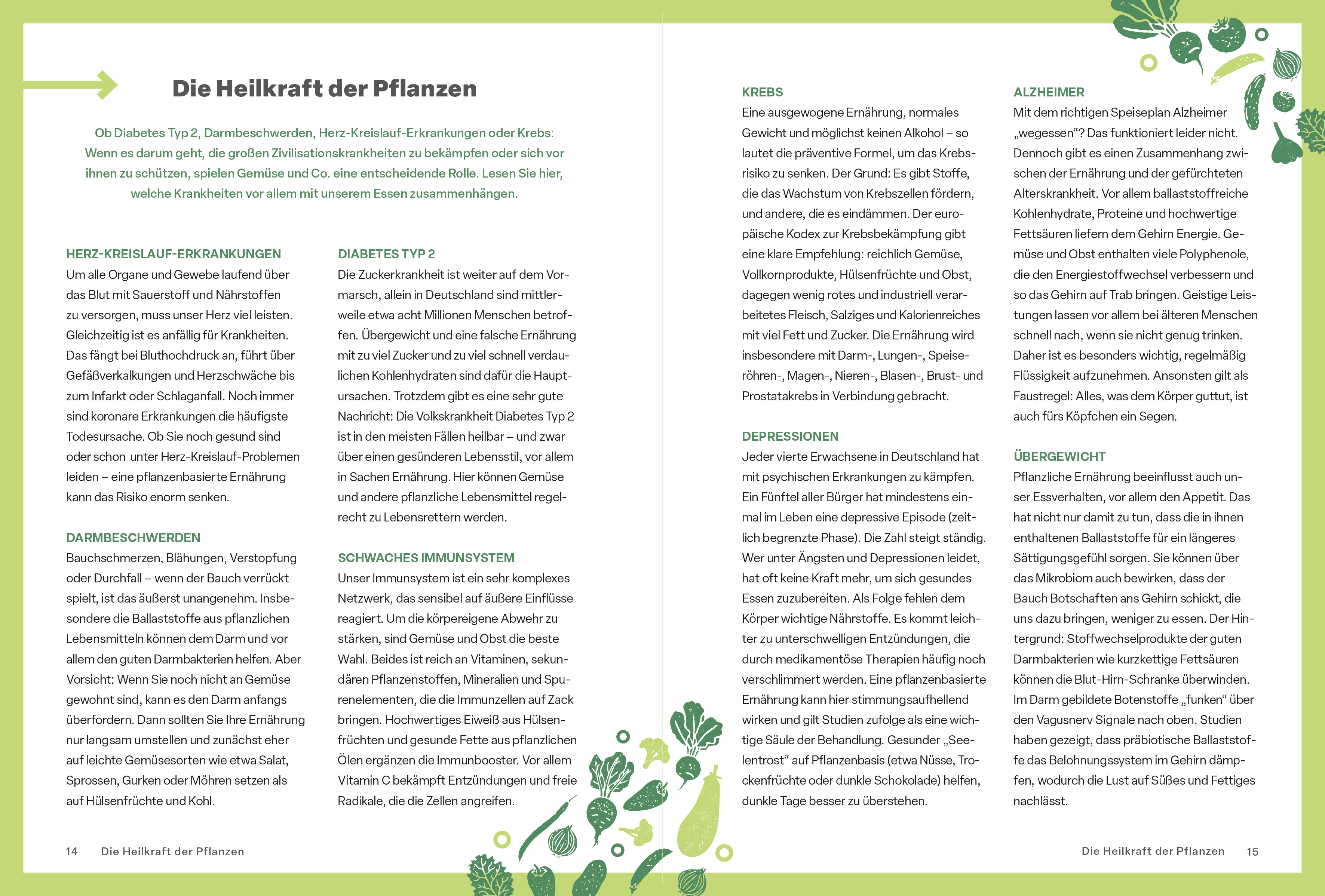 Beispielinhalt (Bild) Der Mehr-Gemüse-Masterplan