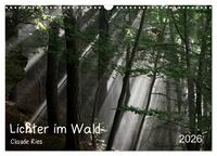 Vorderes Coverbild Lichter im Wald (Wandkalender 2026 DIN A3 quer), CALVENDO Monatskalender