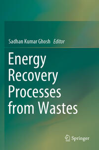 Vorderes Coverbild Energy Recovery Processes from Wastes