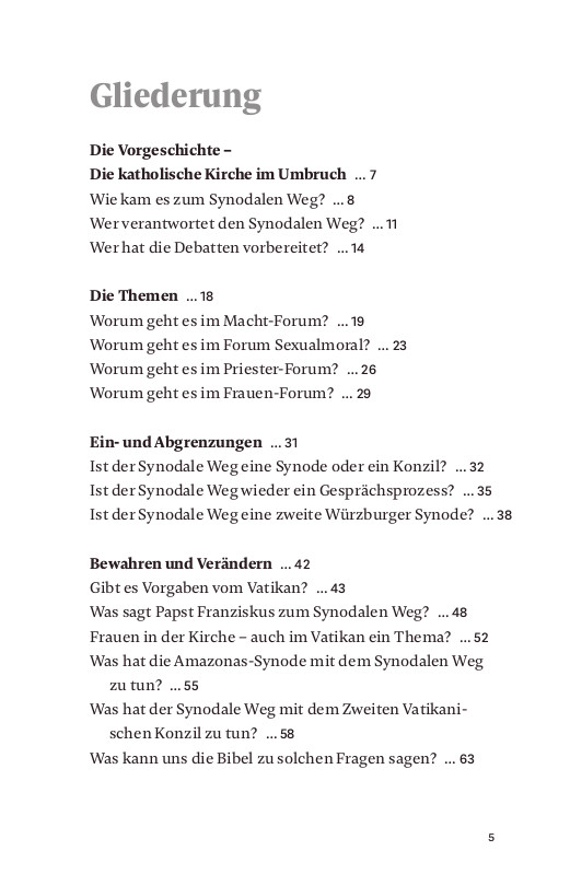 Beispielinhalt (Bild) Der Synodale Weg