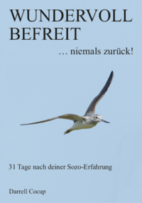 Vorderes Coverbild Wundervoll befreit