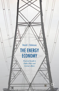 Vorderes Coverbild The Energy Economy
