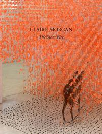 Vorderes Coverbild Claire Morgan