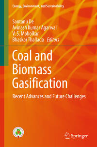 Vorderes Coverbild Coal and Biomass Gasification