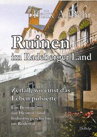Vorderes Coverbild Ruinen im Radeberger Land – Zerfall, wo einst das Leben pulsierte - Ein Beitrag zur Heimat- und Industriegeschichte im Rödertal