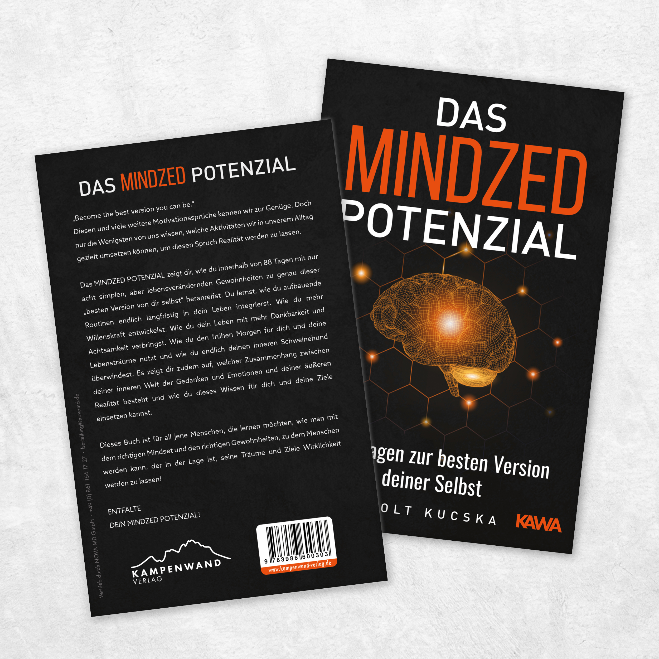 Beispielinhalt (Bild) Das Mindzed Potenzial
