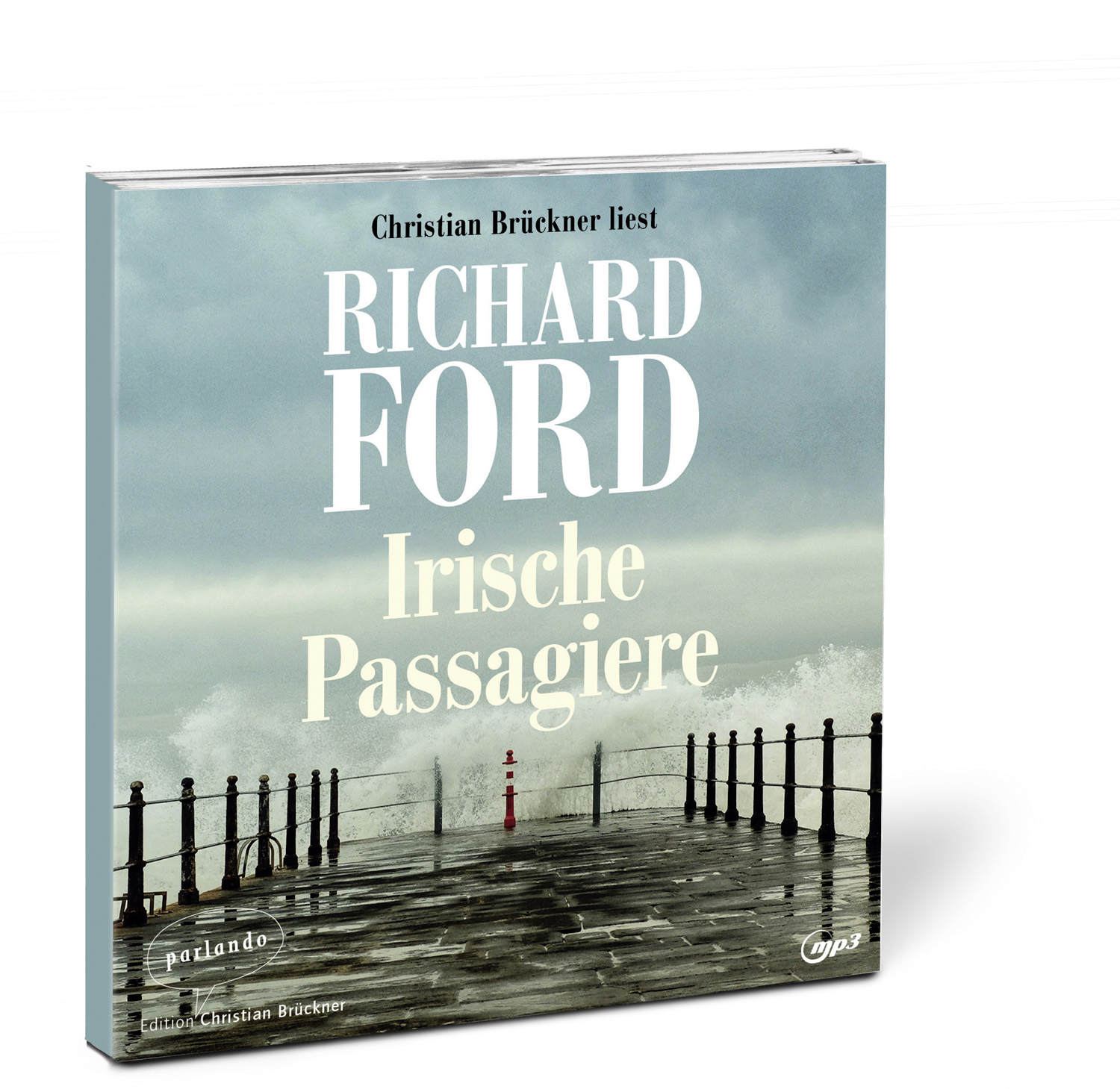 Beispielinhalt (Bild) Irische Passagiere