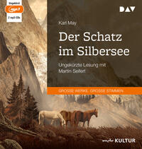 Vorderes Coverbild Der Schatz im Silbersee