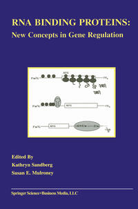 Vorderes Coverbild RNA Binding Proteins