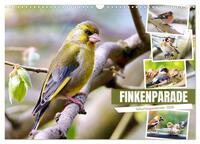 Vorderes Coverbild Finkenparade (Wandkalender 2026 DIN A3 quer), CALVENDO Monatskalender