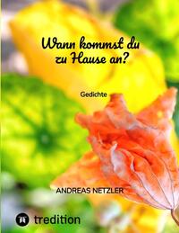 Vorderes Coverbild Wann kommst du zu Hause an?