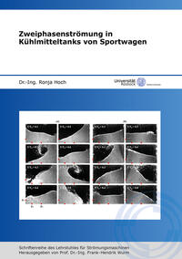 Vorderes Coverbild Zweiphasenströmung in Kühlmitteltanks von Sportwagen
