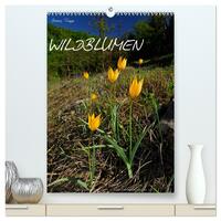 Vorderes Coverbild WILDBLUMEN (hochwertiger Premium Wandkalender 2025 DIN A2 hoch), Kunstdruck in Hochglanz