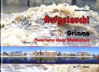Vorderes Coverbild Aufgetaucht. Grimma – Panorama einer Muldestadt