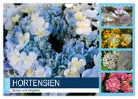 Vorderes Coverbild Hortensien Blühen und Vergehen (Wandkalender 2026 DIN A4 quer), CALVENDO Monatskalender