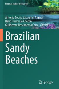 Vorderes Coverbild Brazilian Sandy Beaches