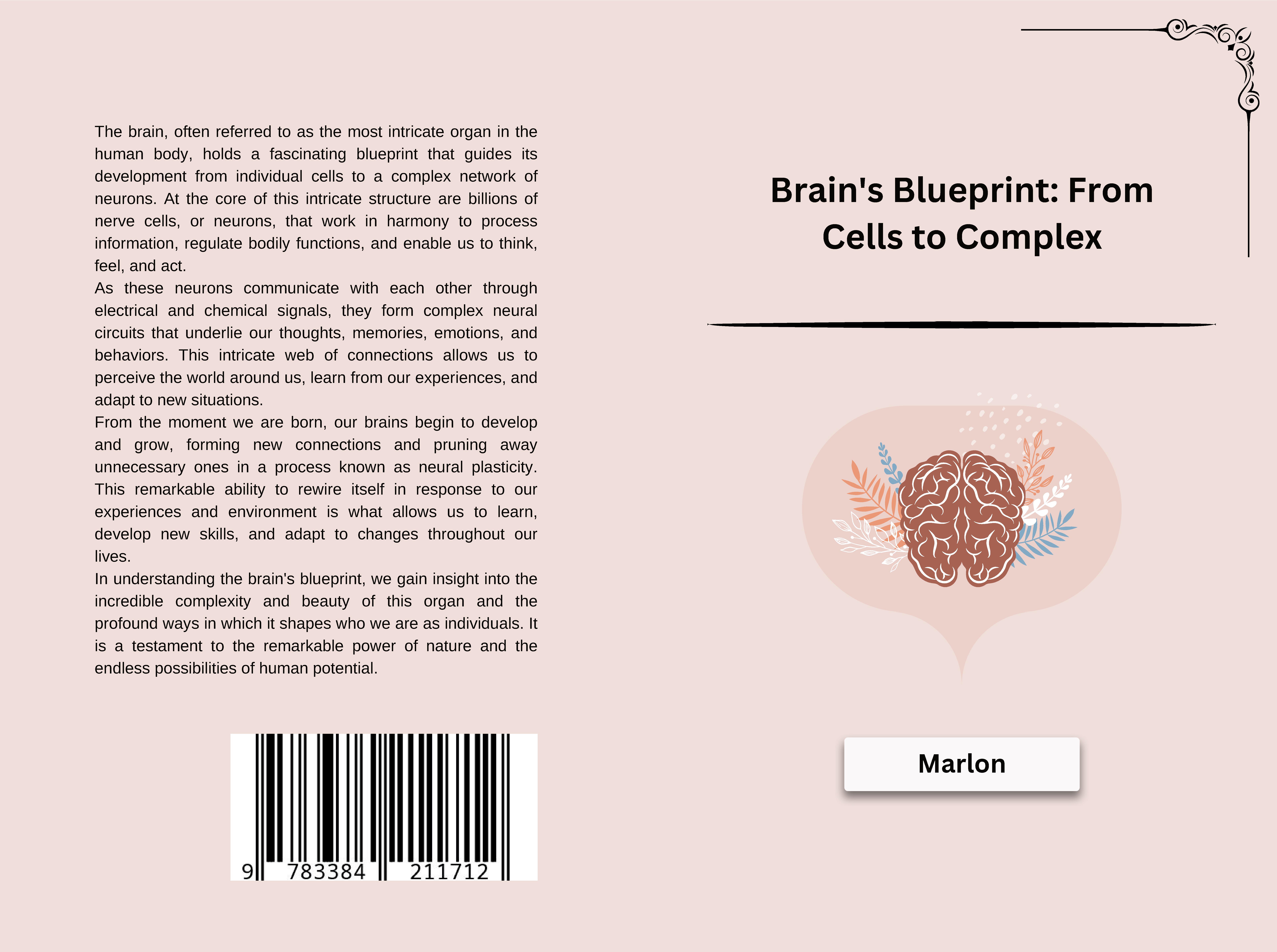 Gesamtes Coverbild Brain's Blueprint: From Cells to Complex