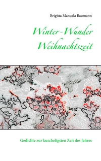 Vorderes Coverbild Winter-Wunder-Weihnachtszeit
