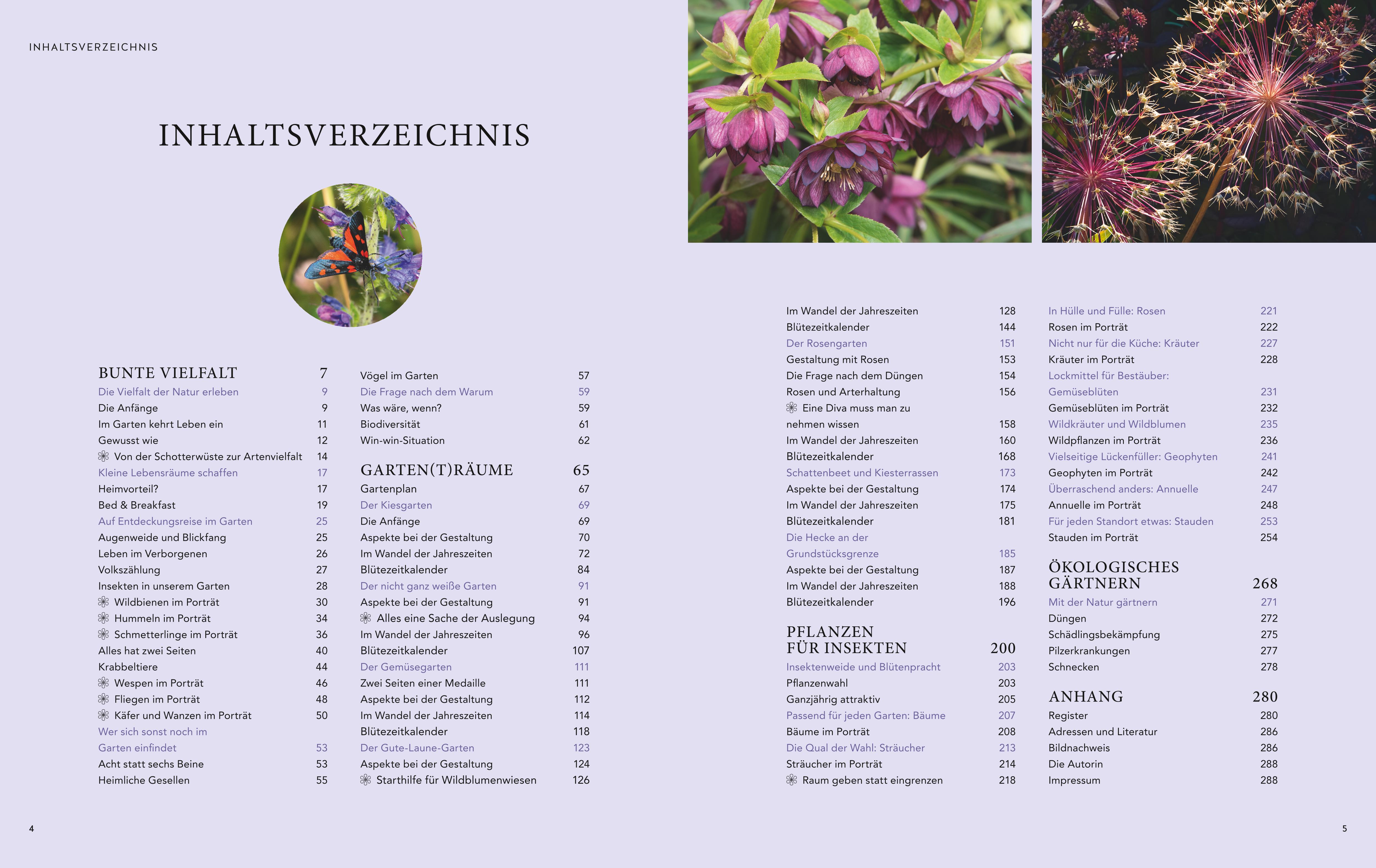Beispielinhalt (Bild) Mein summendes Paradies