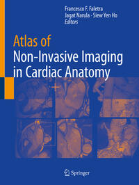 Vorderes Coverbild Atlas of Non-Invasive Imaging in Cardiac Anatomy