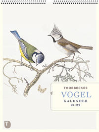 Vorderes Coverbild Thorbeckes Vogel-Kalender 2022