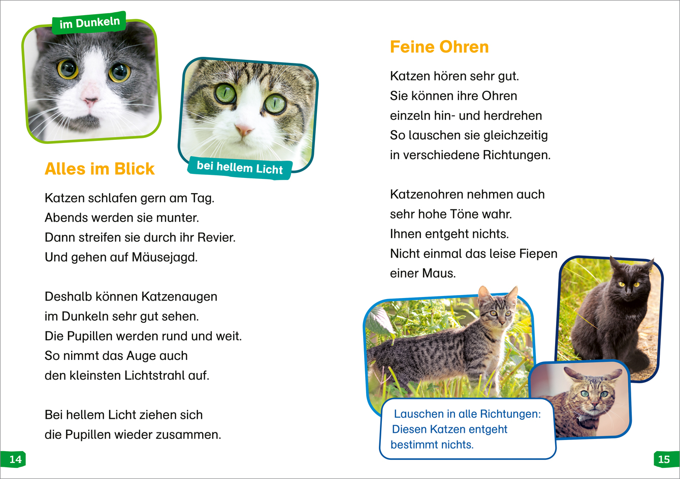 Beispielinhalt (Bild) WAS IST WAS Erstes Lesen easy! Band 10. Katzen - meine Lieblingstiere