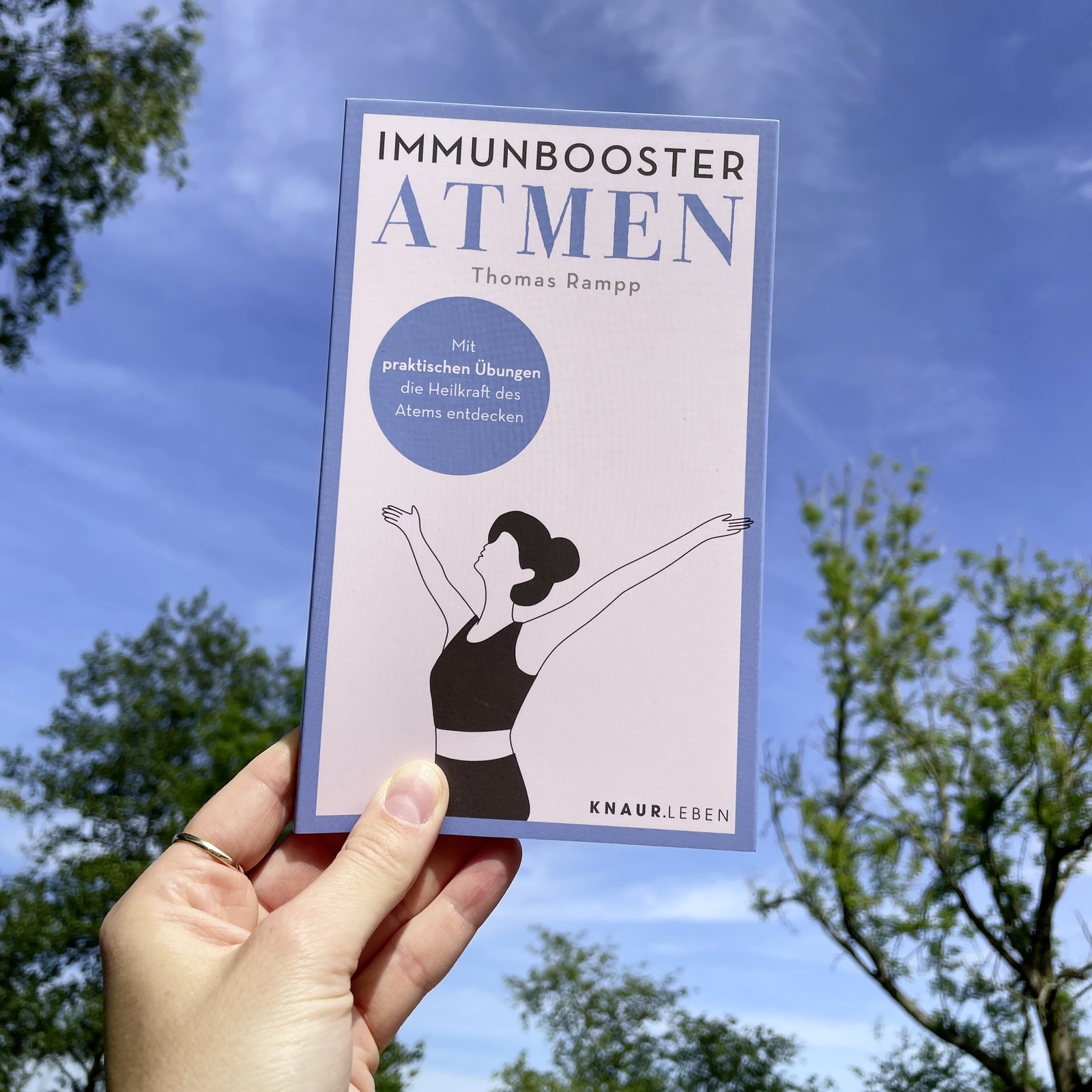 Beispielinhalt (Bild) Immunbooster Atmen