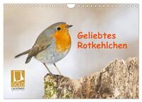 Vorderes Coverbild Geliebtes Rotkehlchen (Wandkalender 2026 DIN A4 quer), CALVENDO Monatskalender