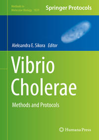 Vorderes Coverbild Vibrio Cholerae