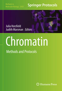 Vorderes Coverbild Chromatin