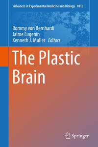 Vorderes Coverbild The Plastic Brain