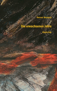 Vorderes Coverbild Die erwachsenen Jahre