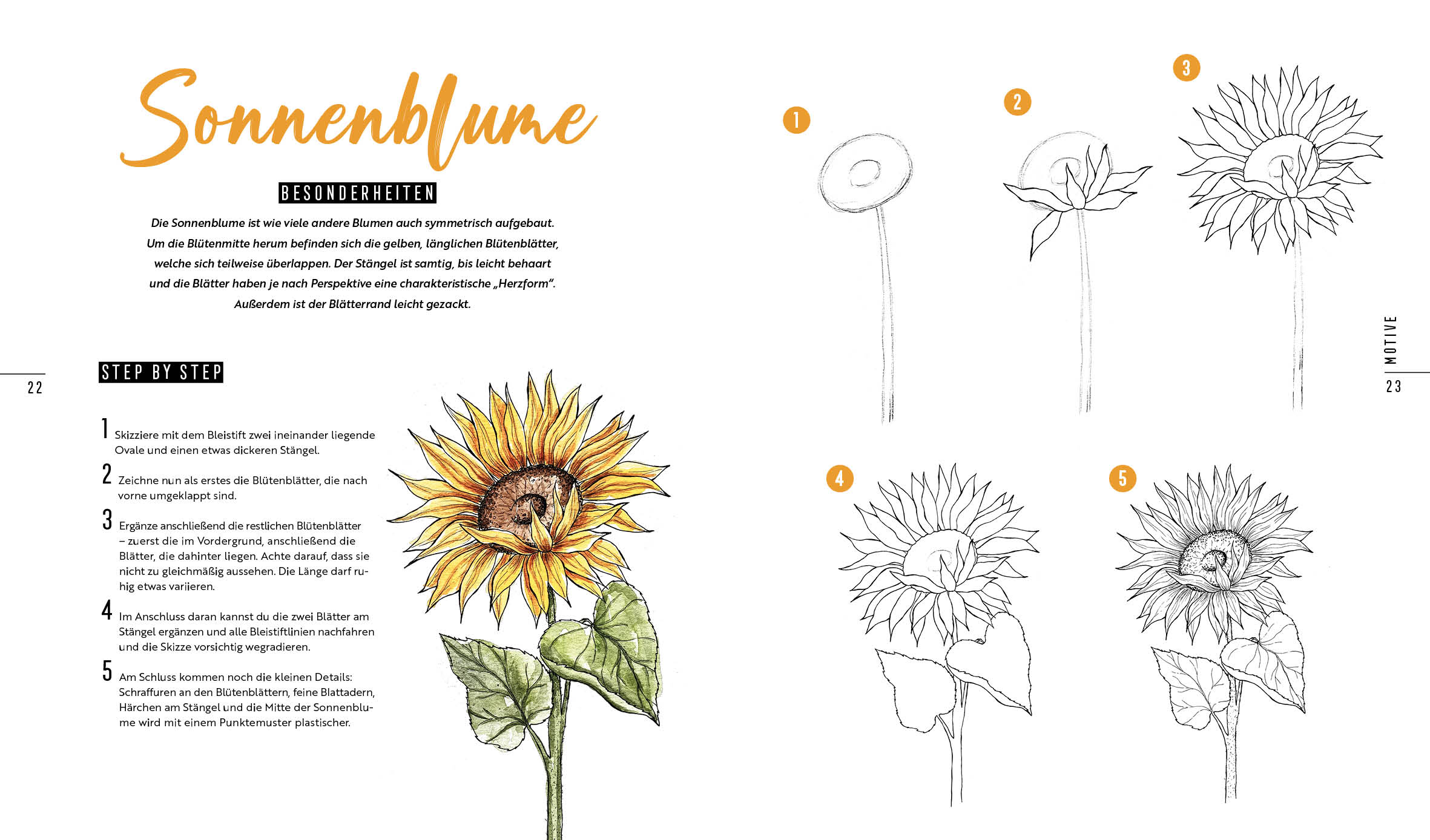Beispielinhalt (Bild) How to Draw Flowers