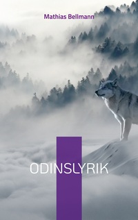 Vorderes Coverbild Odinslyrik