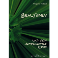 Vorderes Coverbild Benjamin und sein wundersames Erbe