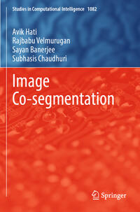 Vorderes Coverbild Image Co-segmentation