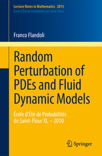 Vorderes Coverbild Random Perturbation of PDEs and Fluid Dynamic Models