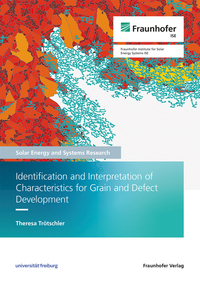 Vorderes Coverbild Identification and Interpretation of Characteristics for Grain and Defect Development
