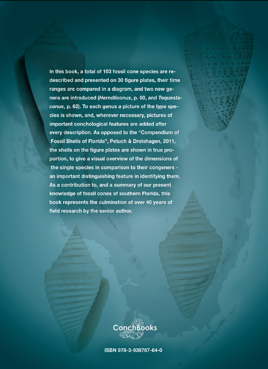 Rückseitencover Cone Shells of the Okeechobean Sea