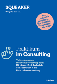 Vorderes Coverbild Das Insider-Dossier: Praktikum im Consulting