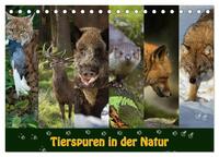 Vorderes Coverbild Tierspuren in der Natur (Tischkalender 2025 DIN A5 quer), CALVENDO Monatskalender
