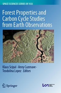 Vorderes Coverbild Forest Properties and Carbon Cycle Studies from Earth Observations